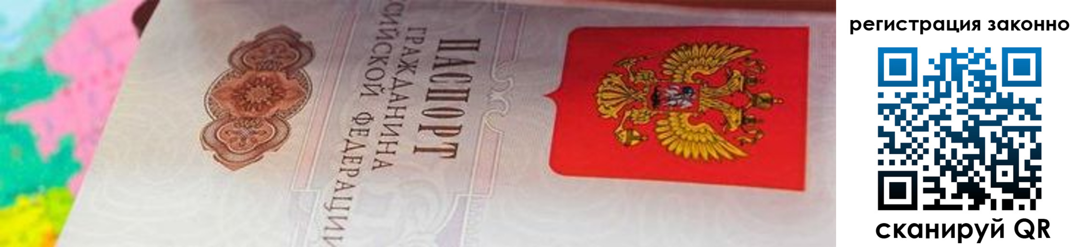 прописка гарантия в Ковдоре